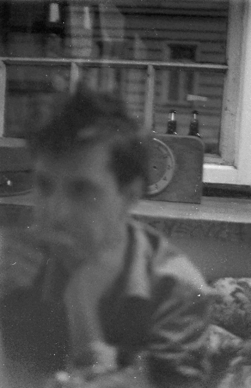 Image Alt