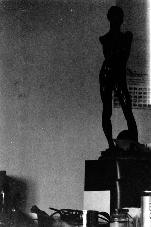 Image Alt