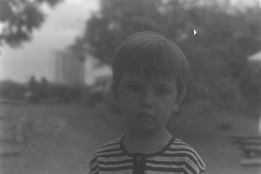 Image Alt