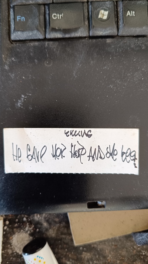 Image Alt