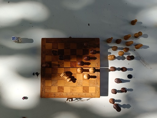Image Alt