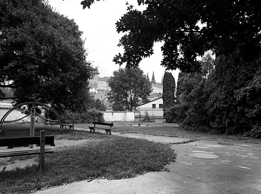 Image Alt