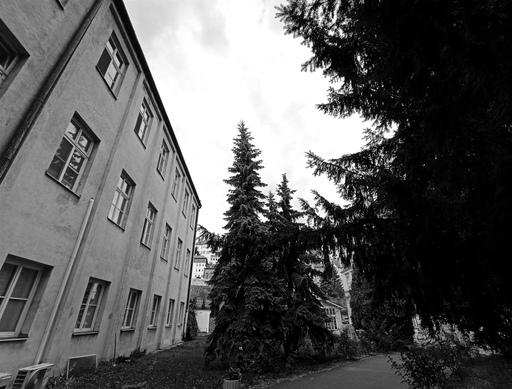 Image Alt