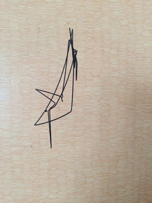 Image Alt