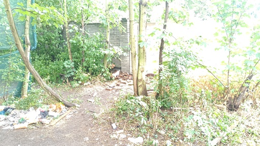 Image Alt