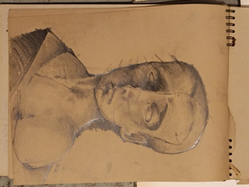 Image Alt