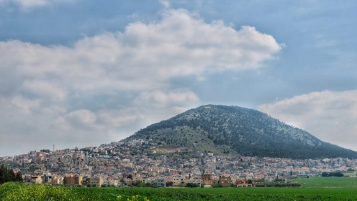 Image Alt